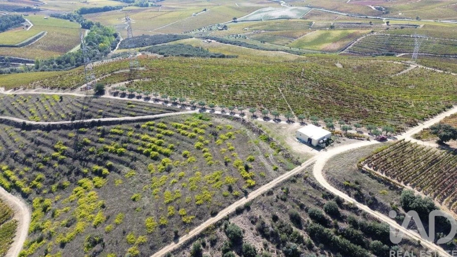 Moradia para Venda em Horta Foto 15