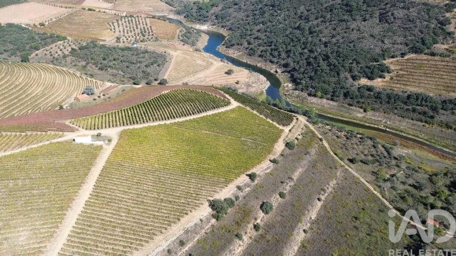 Moradia para Venda em Horta Foto 17