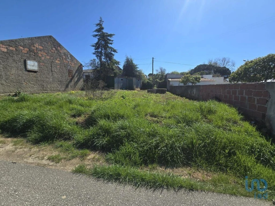 Terreno para Venda em Lamas e Cercal Foto 4