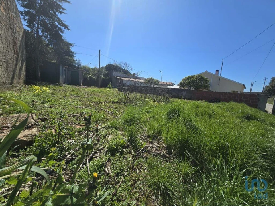 Terreno para Venda em Lamas e Cercal Foto 1