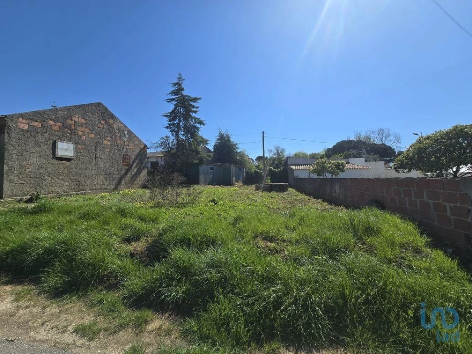 Terreno para Venda em Lamas e Cercal Foto 3