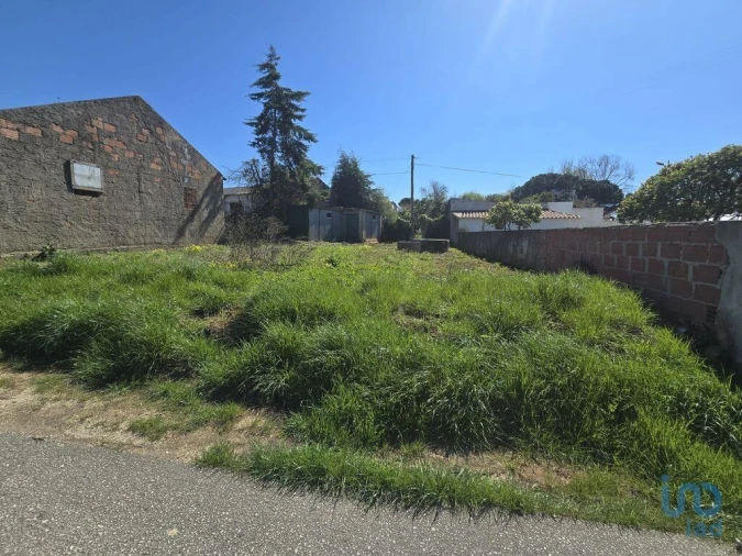 Terreno para Venda em Lamas e Cercal Foto 4