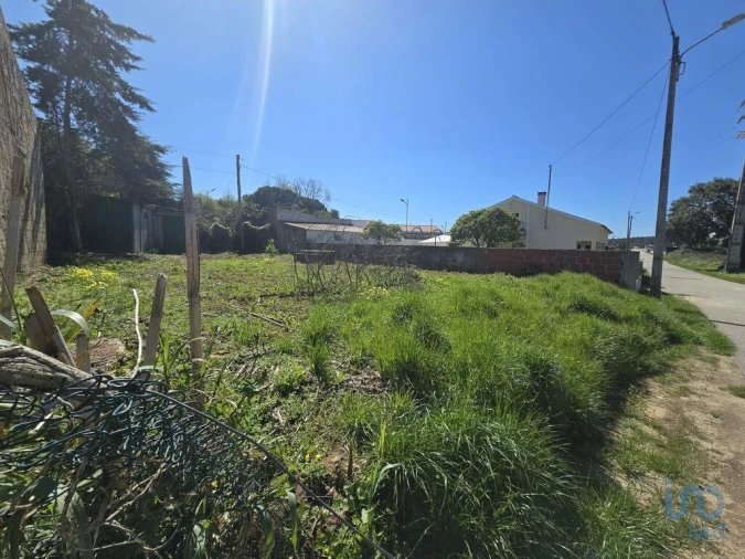 Terreno para Venda em Lamas e Cercal Foto 2