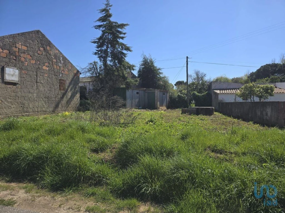 Terreno para Venda em Lamas e Cercal Foto 5