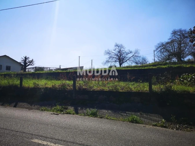 Terreno para Venda em Pinheiro da Bemposta, Travanca e Palmaz Foto 7