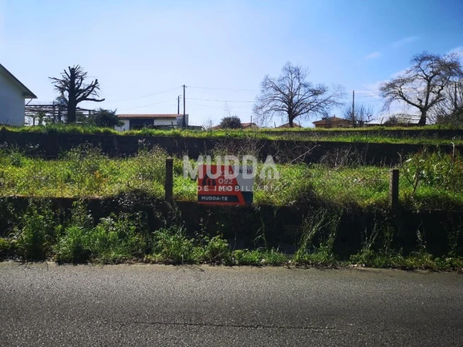 Terreno para Venda em Pinheiro da Bemposta, Travanca e Palmaz Foto 8