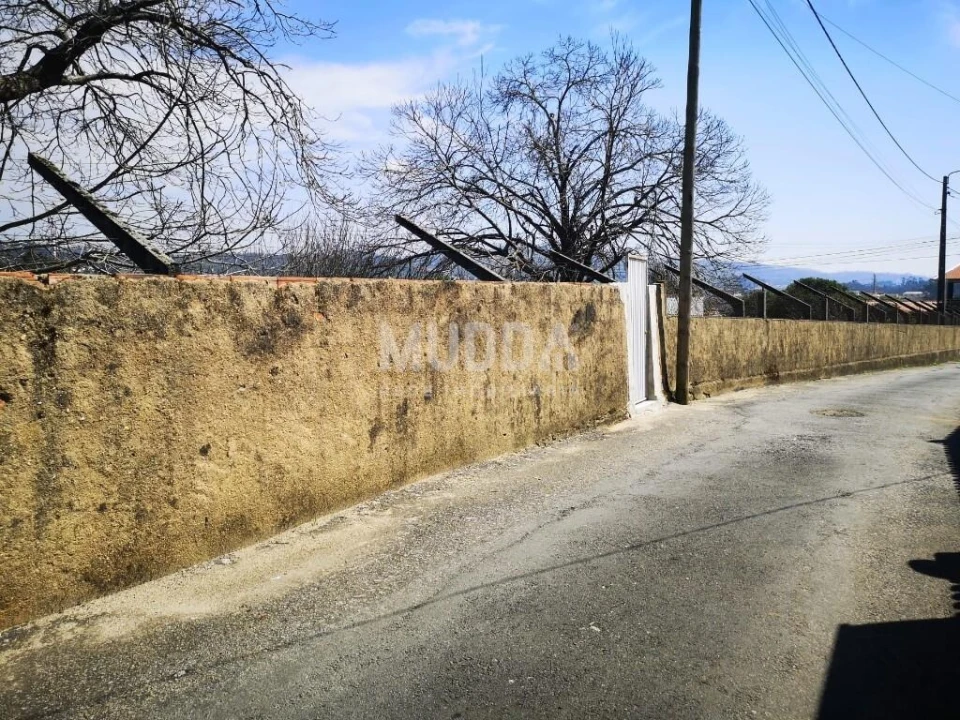 Terreno para Venda em Pinheiro da Bemposta, Travanca e Palmaz Foto 11