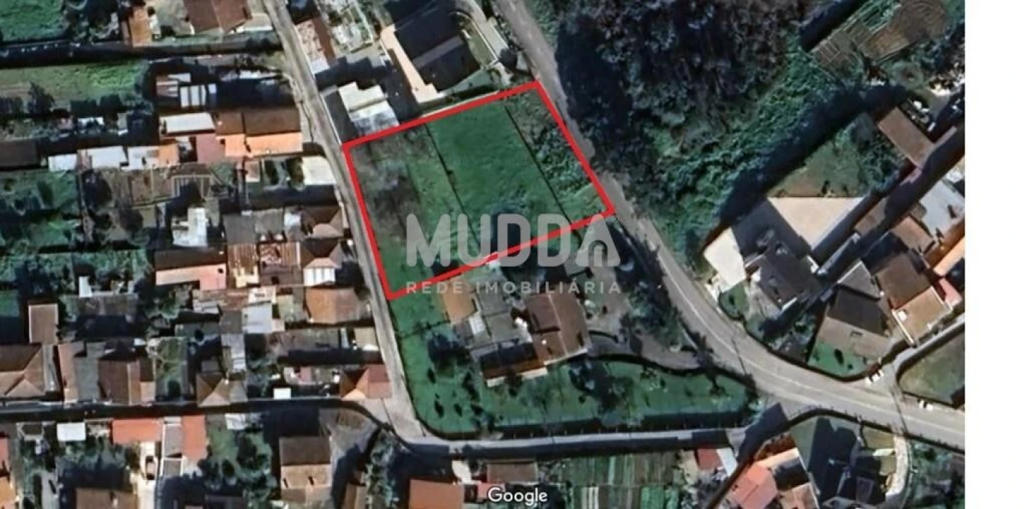 Terreno para Venda em Pinheiro da Bemposta, Travanca e Palmaz Foto 9