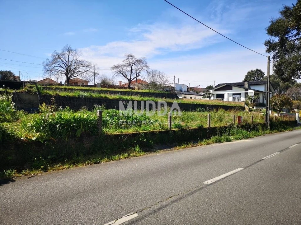 Terreno para Venda em Pinheiro da Bemposta, Travanca e Palmaz Foto 1