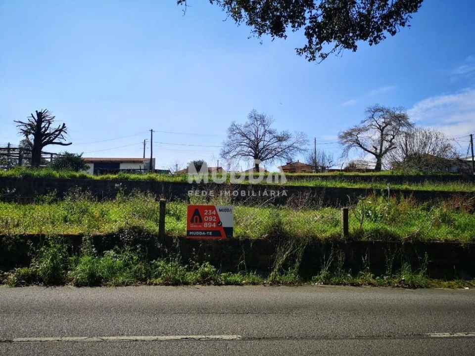 Terreno para Venda em Pinheiro da Bemposta, Travanca e Palmaz Foto 2