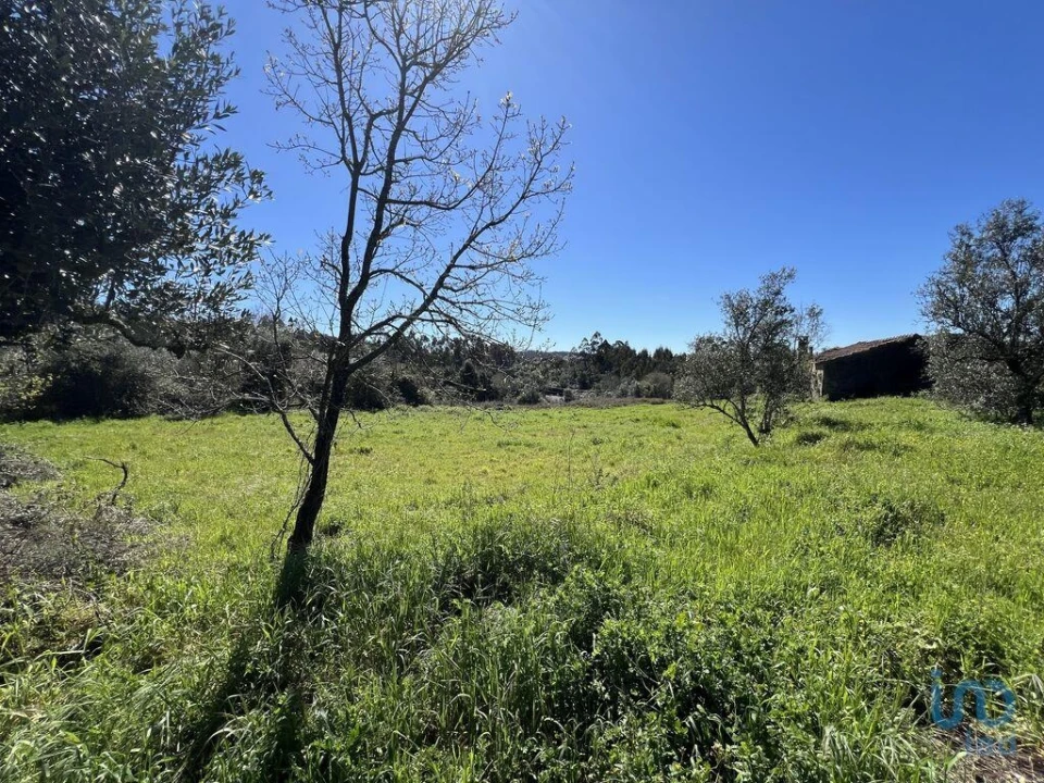 Moradia T1 para Venda em Aguda Foto 12