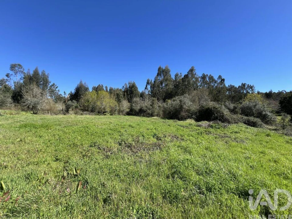 Moradia T1 para Venda em Aguda Foto 23