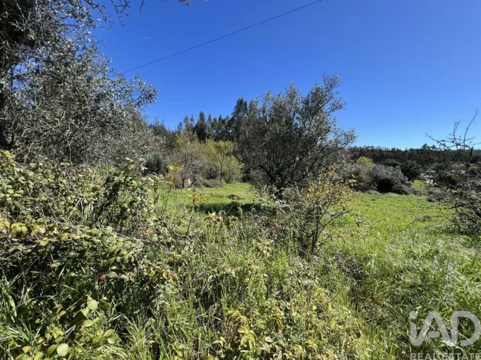 Moradia T1 para Venda em Aguda Foto 28