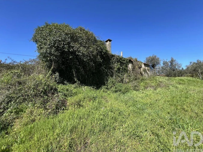 Moradia T1 para Venda em Aguda Foto 24