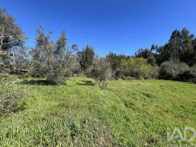 Moradia T1 para Venda em Aguda Foto 26