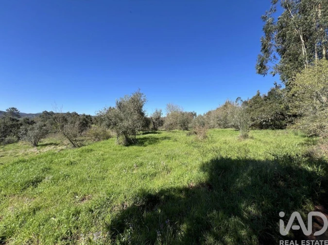 Moradia T1 para Venda em Aguda Foto 16