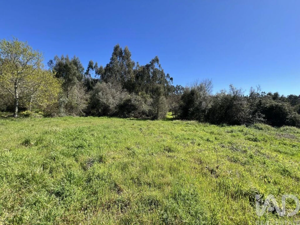 Moradia T1 para Venda em Aguda Foto 20