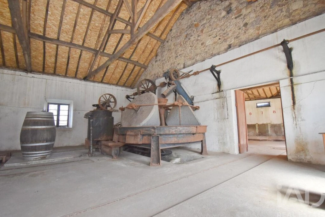 Negócio para Venda em São Miguel, Santa Eufémia e Rabaçal Foto 19