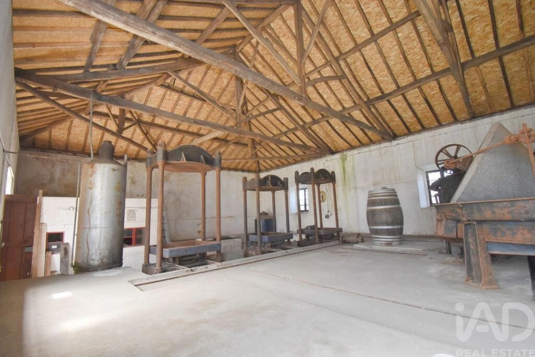 Negócio para Venda em São Miguel, Santa Eufémia e Rabaçal Foto 18