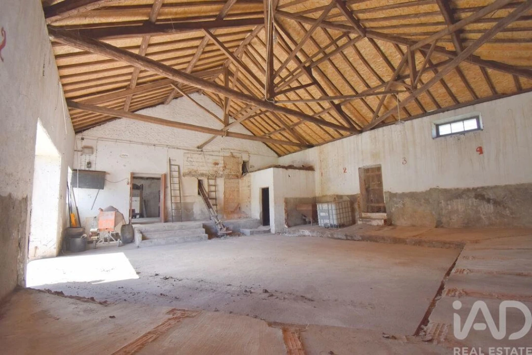 Negócio para Venda em São Miguel, Santa Eufémia e Rabaçal Foto 21