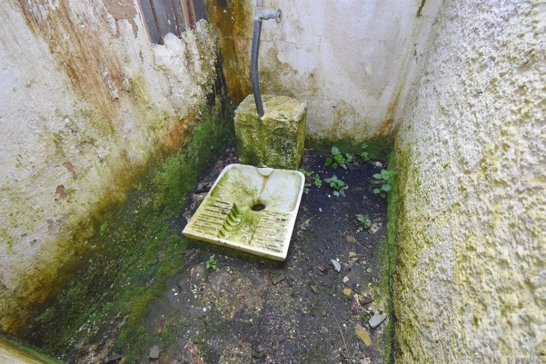 Negócio para Venda em São Miguel, Santa Eufémia e Rabaçal Foto 28