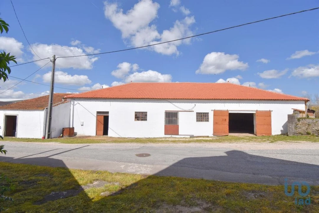 Negócio para Venda em São Miguel, Santa Eufémia e Rabaçal Foto 1