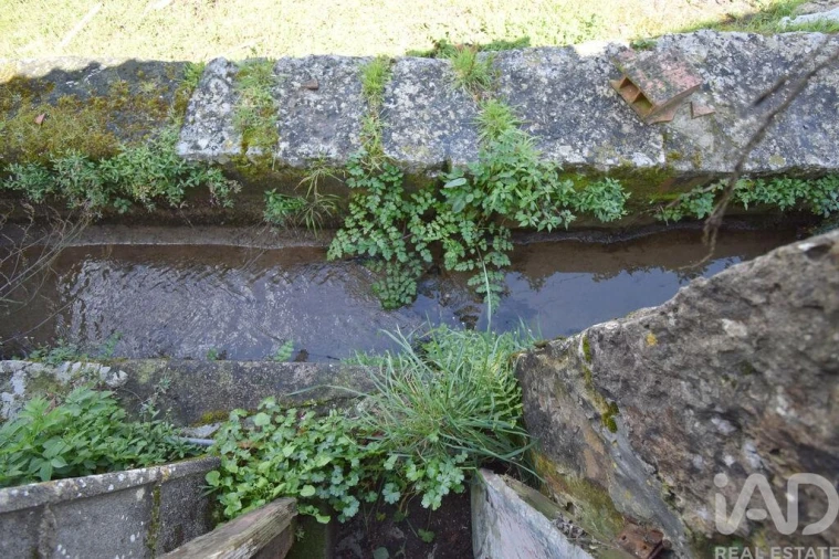 Negócio para Venda em São Miguel, Santa Eufémia e Rabaçal Foto 24