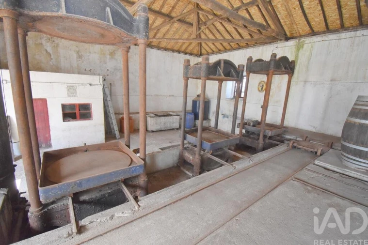 Negócio para Venda em São Miguel, Santa Eufémia e Rabaçal Foto 15