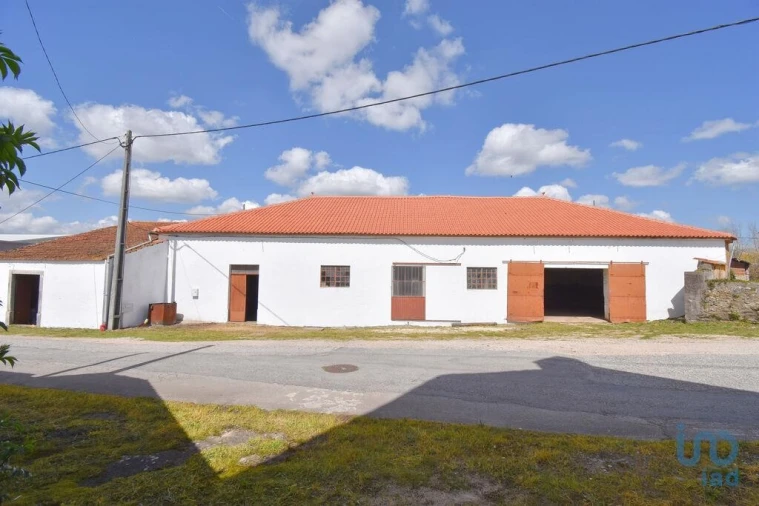 Negócio para Venda em São Miguel, Santa Eufémia e Rabaçal Foto 1