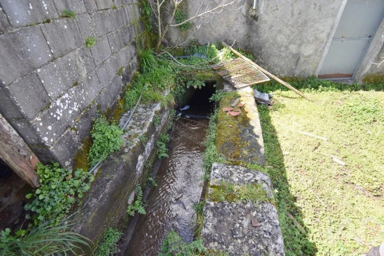 Negócio para Venda em São Miguel, Santa Eufémia e Rabaçal Foto 25
