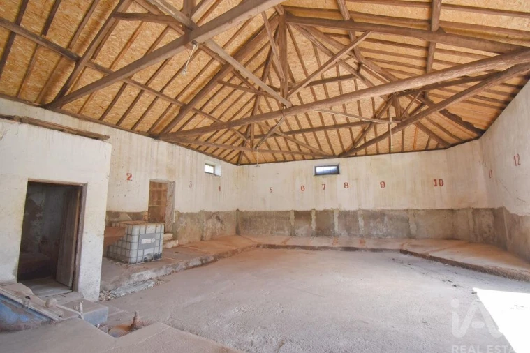 Negócio para Venda em São Miguel, Santa Eufémia e Rabaçal Foto 20