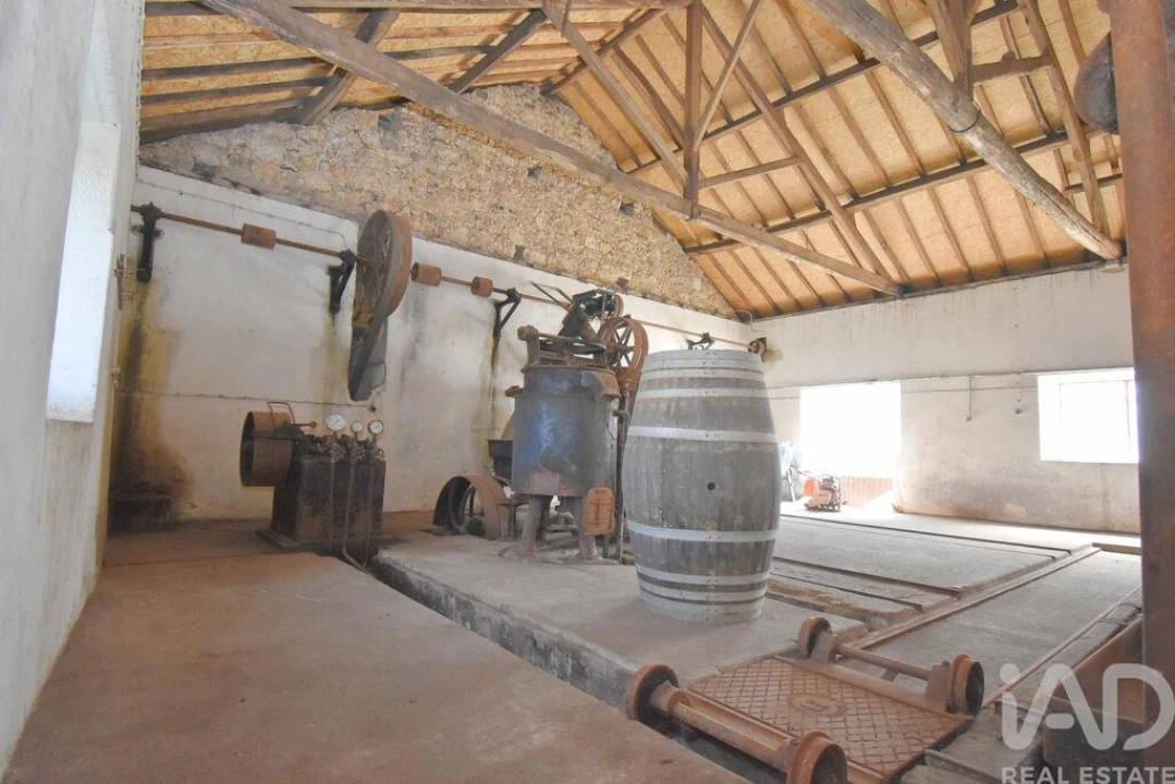 Negócio para Venda em São Miguel, Santa Eufémia e Rabaçal Foto 16