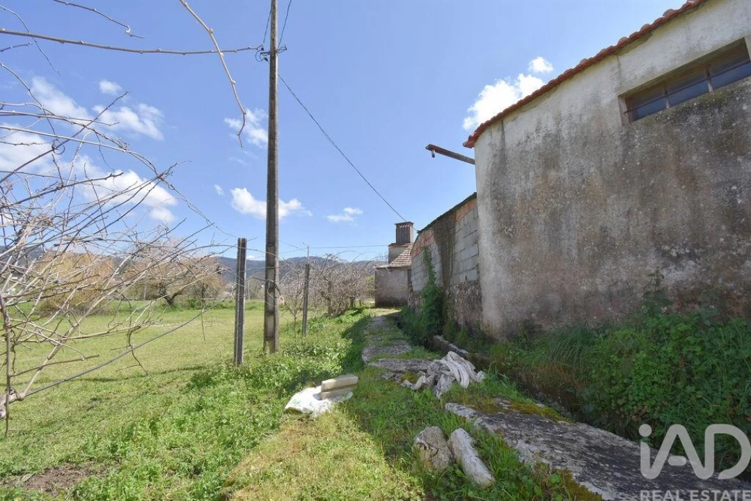 Negócio para Venda em São Miguel, Santa Eufémia e Rabaçal Foto 27