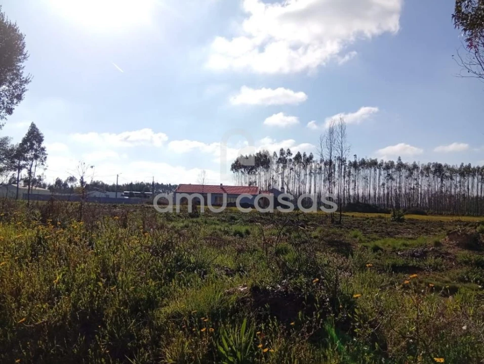 Terreno para Venda em Águeda e Borralha Foto 5