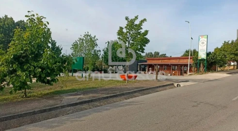 Terreno para Venda em Águeda e Borralha