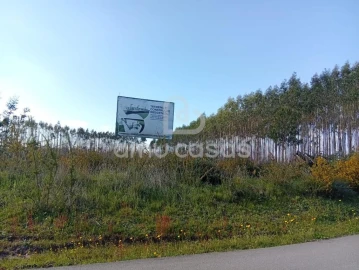 Terreno para Venda em Águeda e Borralha
