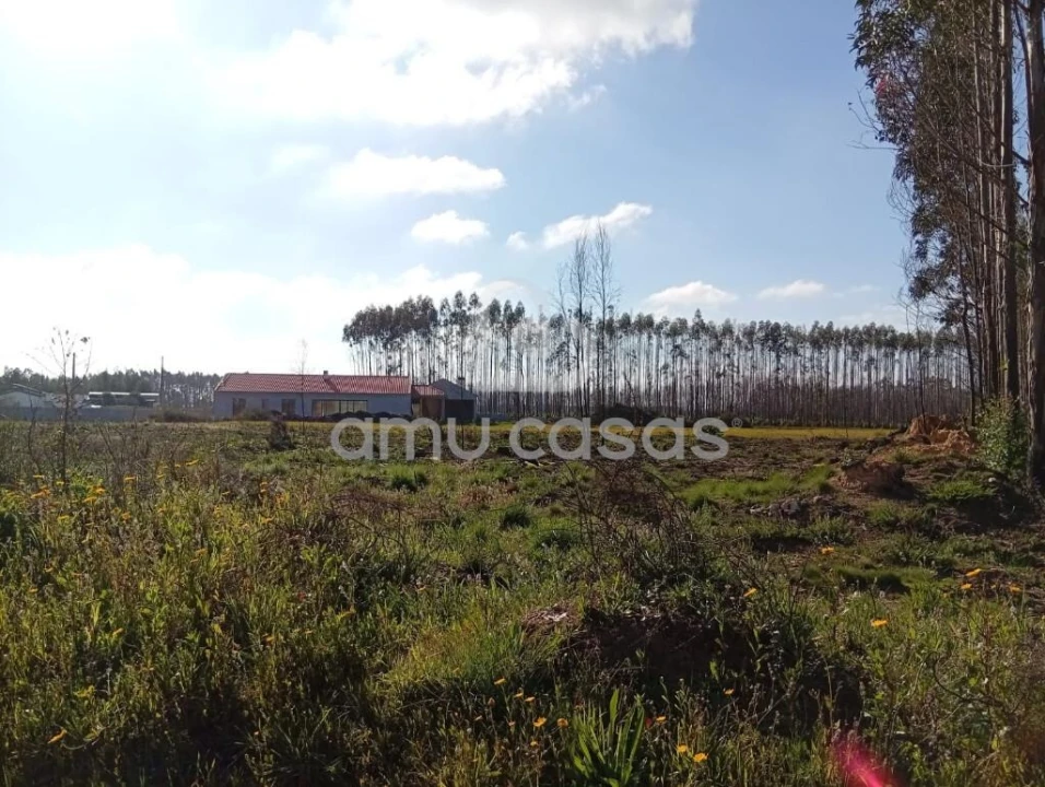 Terreno para Venda em Águeda e Borralha Foto 8