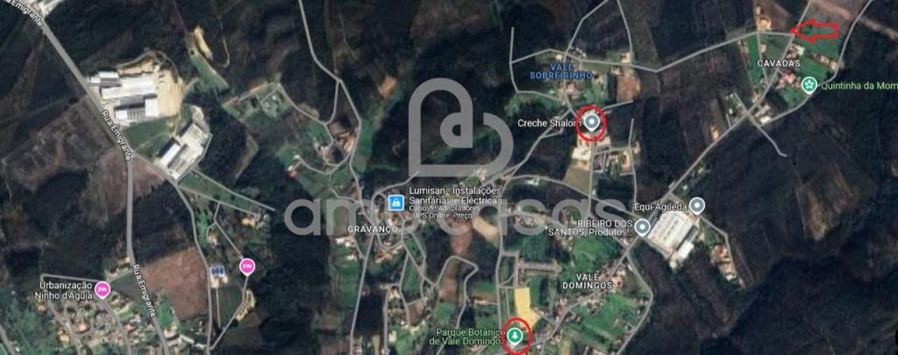 Terreno para Venda em Águeda e Borralha Foto 12