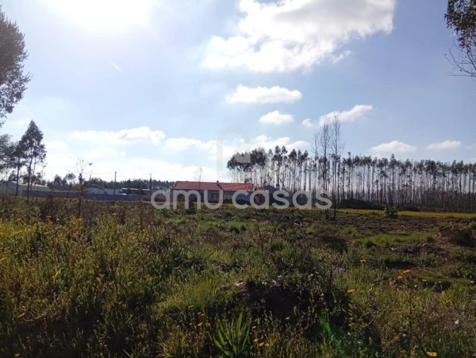 Terreno para Venda em Águeda e Borralha Foto 5