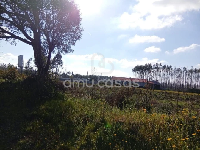 Terreno para Venda em Águeda e Borralha Foto 9