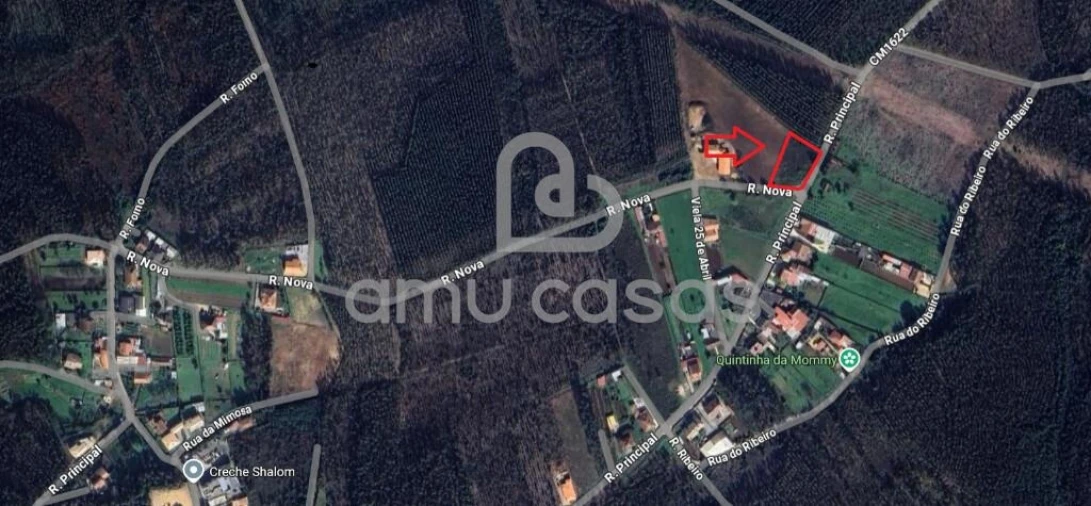 Terreno para Venda em Águeda e Borralha Foto 11