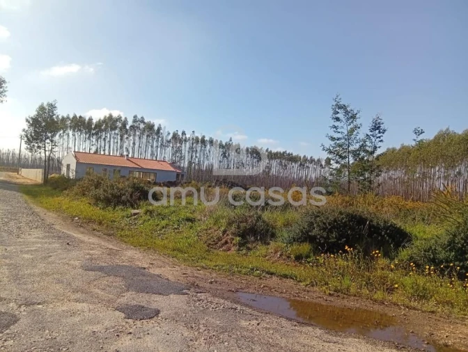 Terreno para Venda em Águeda e Borralha Foto 3
