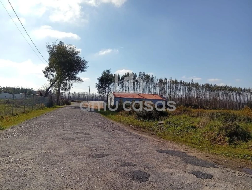 Terreno para Venda em Águeda e Borralha Foto 4
