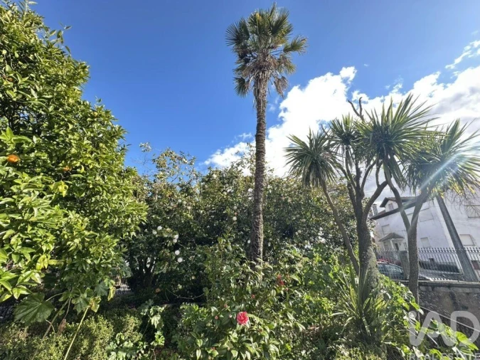 Moradia para Venda em Moimenta da Serra e Vinhó Foto 18