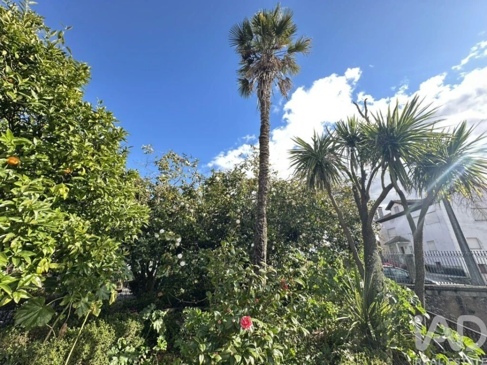 Moradia para Venda em Moimenta da Serra e Vinhó Foto 18