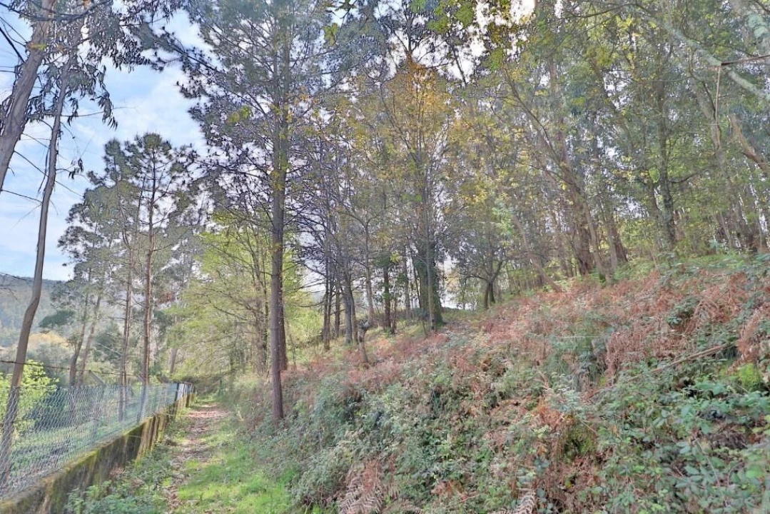 Terreno para Venda em Nogueira, Fraião e Lamaçães Foto 22