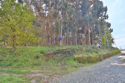 Terreno para Venda em Nogueira, Fraião e Lamaçães
