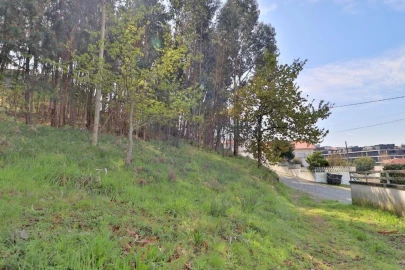 Terreno para Venda em Nogueira, Fraião e Lamaçães