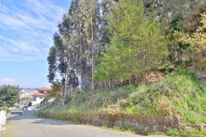 Terreno para Venda em Nogueira, Fraião e Lamaçães