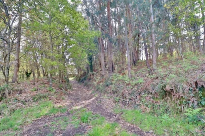 Terreno para Venda em Nogueira, Fraião e Lamaçães